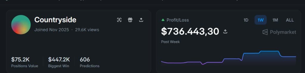 Trader profile with P&L chart, positions value, and biggest win.